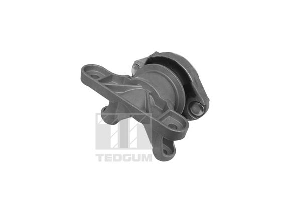 TEDGUM 00058910 - Lagerung, Motor