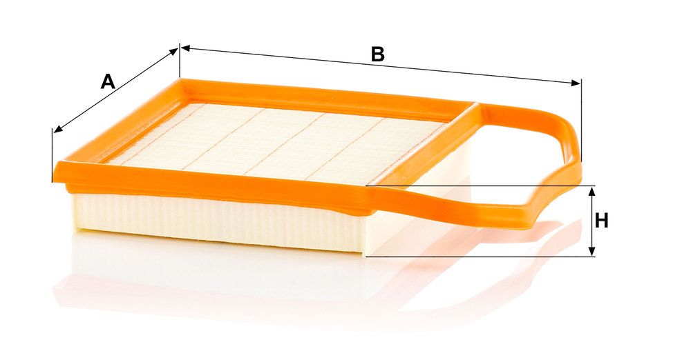 MANN-FILTER C 21 020 - Luftfilter