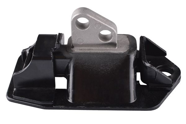 TEDGUM 00748055 - Lagerung, Motor