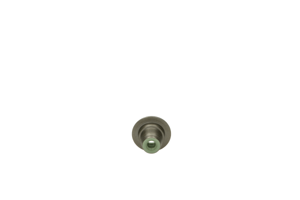 AJUSA 12045400 - Dichtring, Ventilschaft