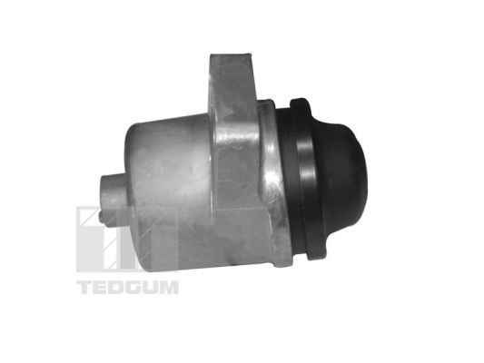 TEDGUM 00399821 - Lagerung, Motor
