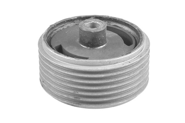 TEDGUM 00465204 - Lagerung, Motor
