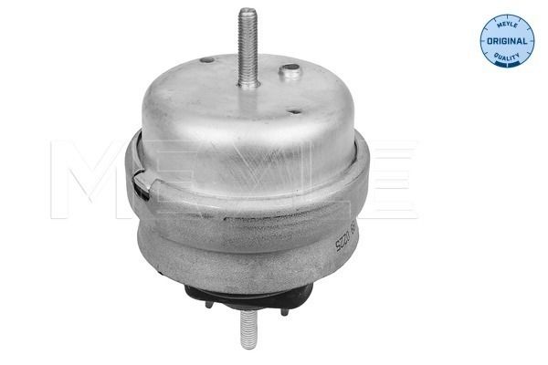 MEYLE 100 199 0225 - Lagerung, Motor