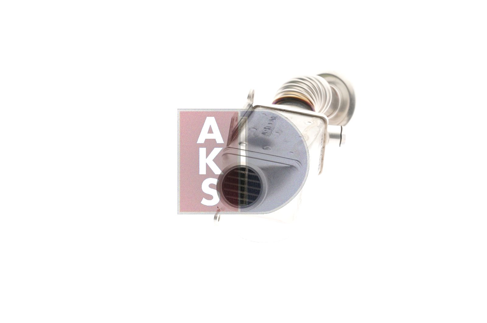 AKS DASIS 080123N - Kühler, Abgasrückführung