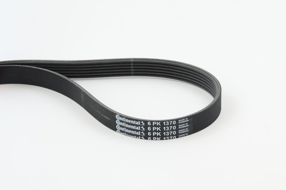 CONTINENTAL CTAM 6PK1370 - Keilrippenriemen