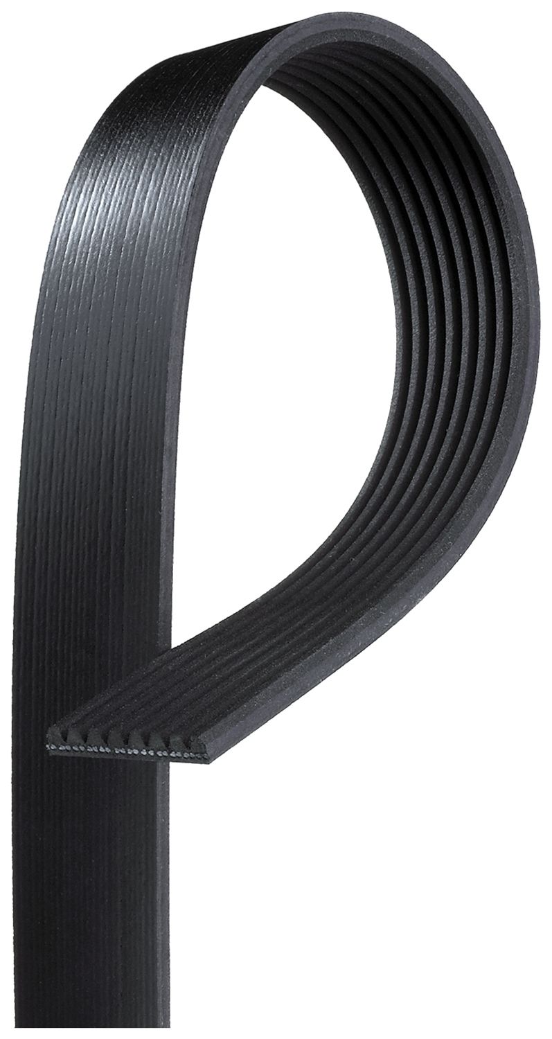 GATES 8PK1162EST - Keilrippenriemen