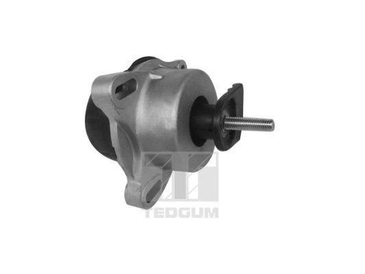 TEDGUM 00228943 - Lagerung, Motor