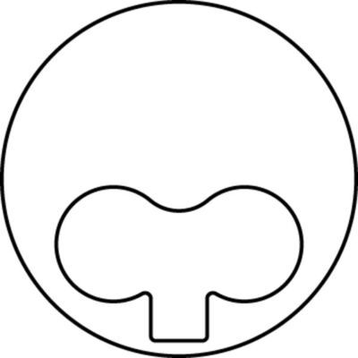 MAHLE 009 38 00 - Kolben
