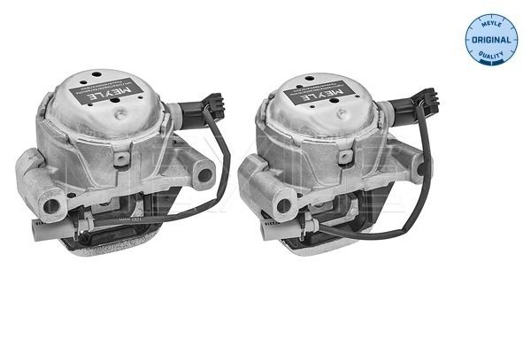MEYLE 100 199 3101/S - Lagerung, Motor