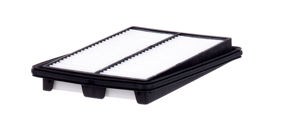 MANN-FILTER C 25 040 - Luftfilter