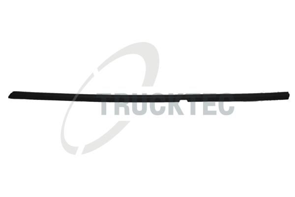 TRUCKTEC AUTOMOTIVE 02.54.019 - Zier-/Schutzleiste, Türscheibe