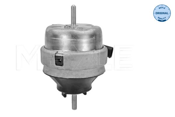 MEYLE 100 199 0134 - Lagerung, Motor