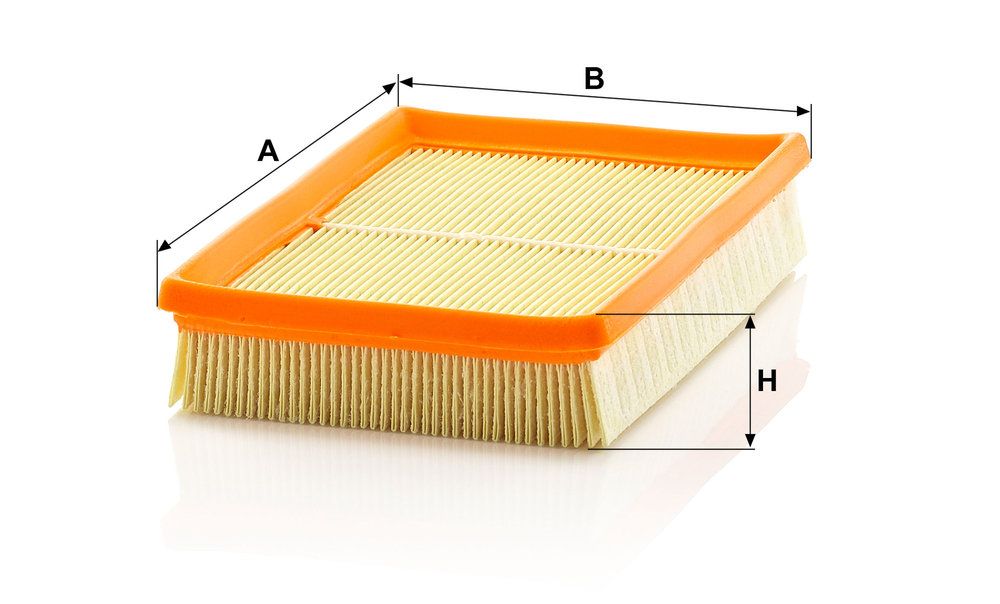 MANN-FILTER C 2448 - Luftfilter