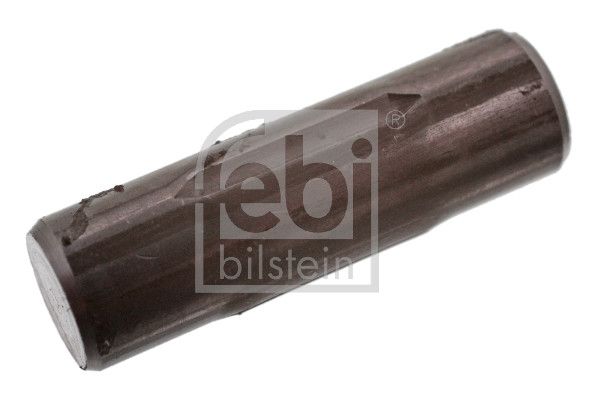 FEBI BILSTEIN 06424 - Federhaltestift, Bremsbacke