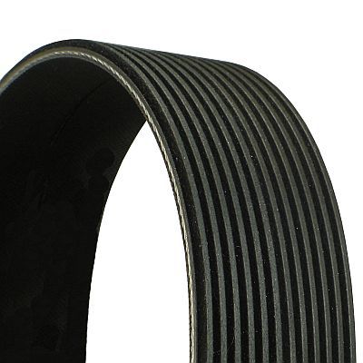 CONTINENTAL CTAM 12PK1165 - Keilrippenriemen
