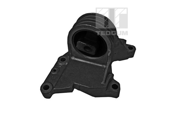 TEDGUM 00741001 - Lagerung, Motor