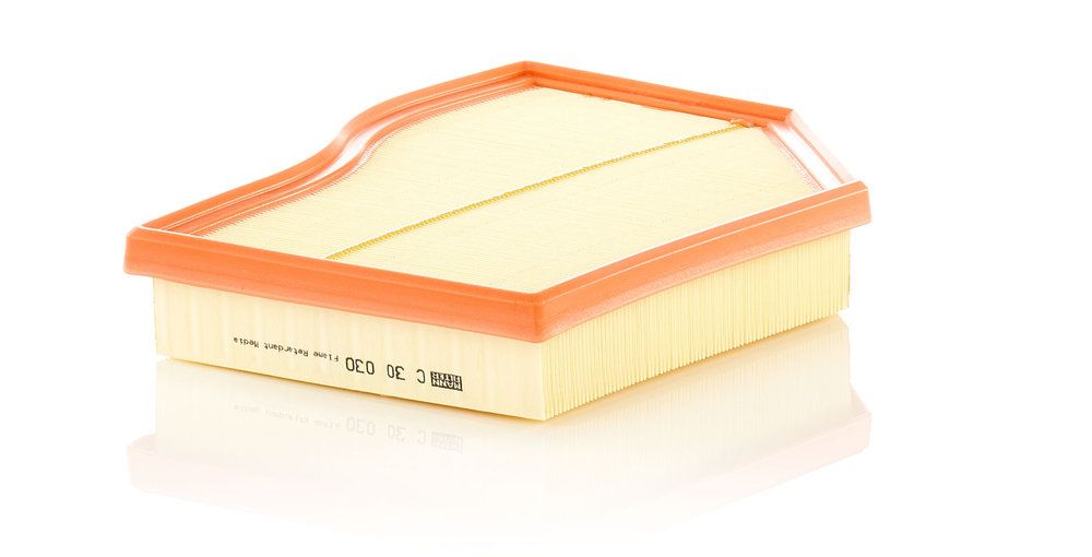 MANN-FILTER C 30 030 - Luftfilter
