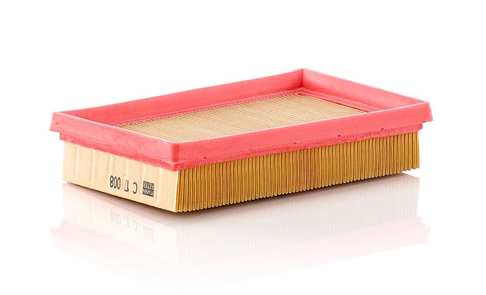 MANN-FILTER C 17 008 - Luftfilter
