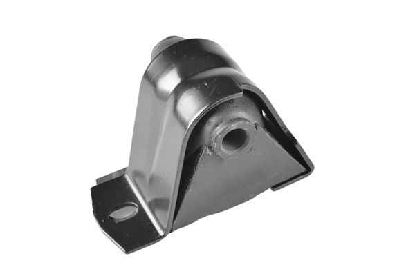 TEDGUM 01140836 - Lagerung, Motor