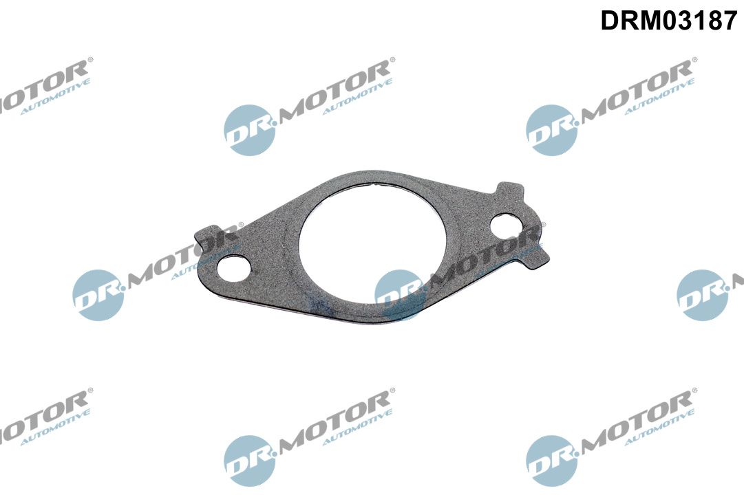Dr.Motor Automotive DRM03187 - Dichtung, Leitung AGR-Ventil