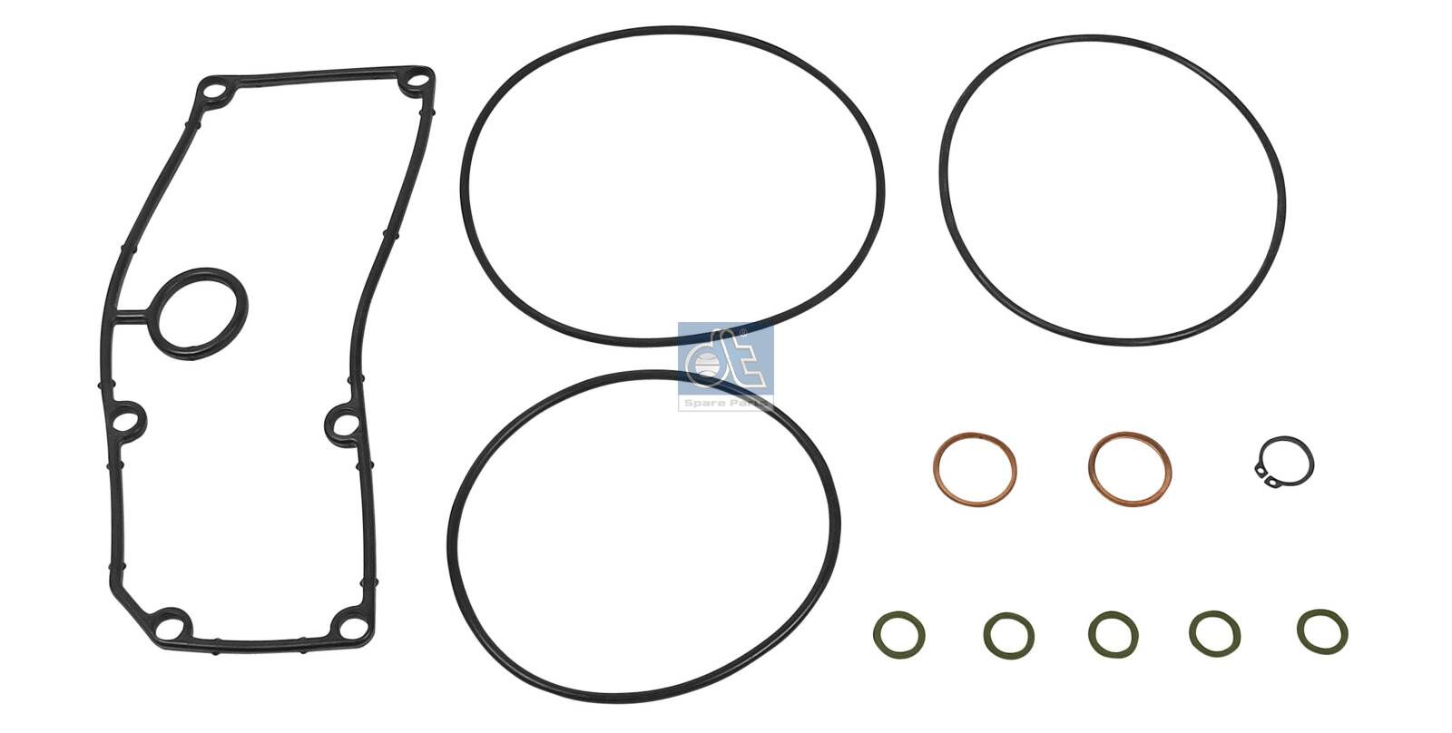 DT Spare Parts 1.31162 - Dichtungssatz, Zentrifugalreiniger