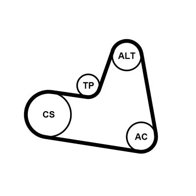 CONTINENTAL CTAM 6PK962K1 - Keilrippenriemensatz