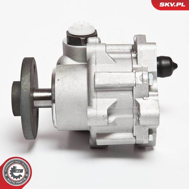 ESEN SKV 10SKV123 - Hydraulikpumpe, Lenkung