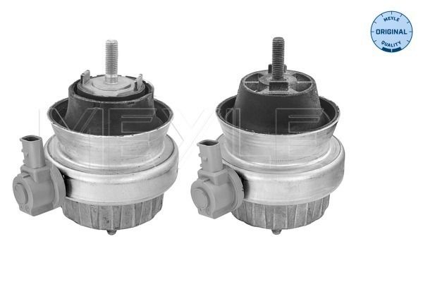 MEYLE 100 199 3001/S - Lagerung, Motor