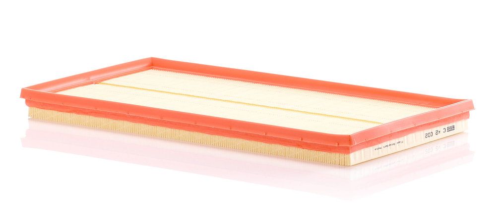 MANN-FILTER C 42 002 - Luftfilter
