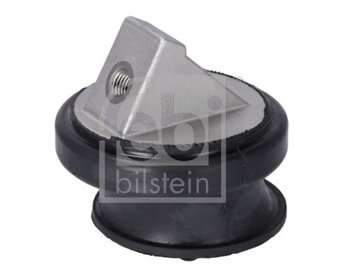 FEBI BILSTEIN 12509 - Lagerung, Motor
