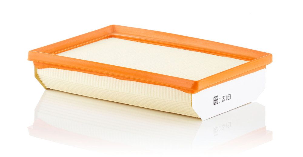 MANN-FILTER C 25 033 - Luftfilter
